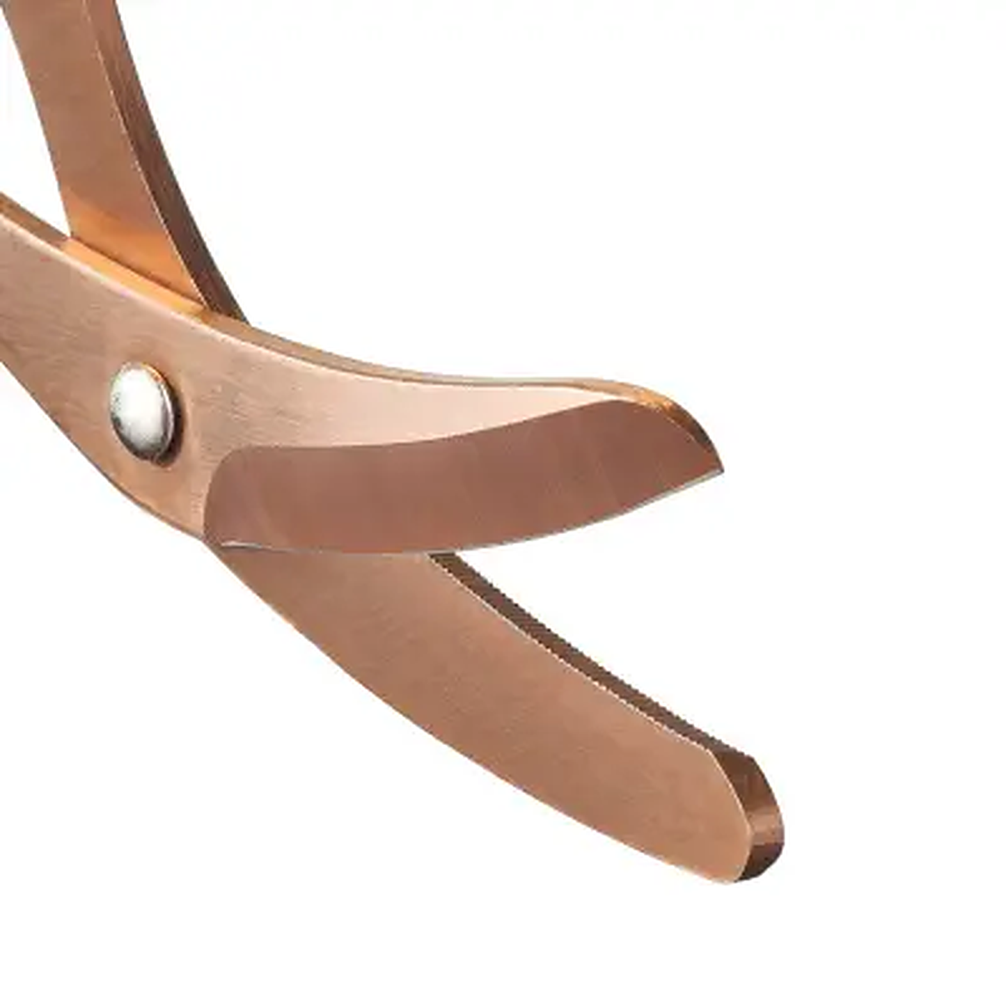XShear Mini 6" Trauma and Nurse Shear - close-up detail