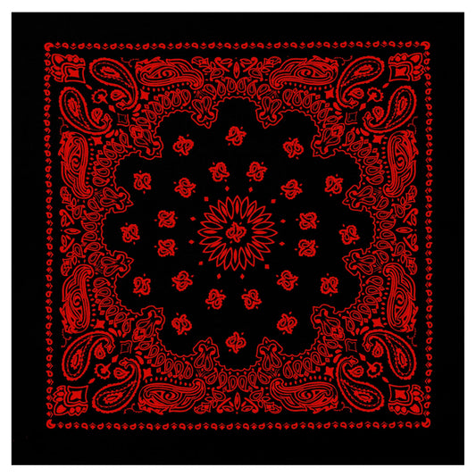 Rothco Trainmen Paisley Bandana - 22" X 22"