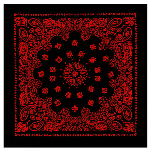 Rothco Trainmen Paisley Bandana - 22" X 22"