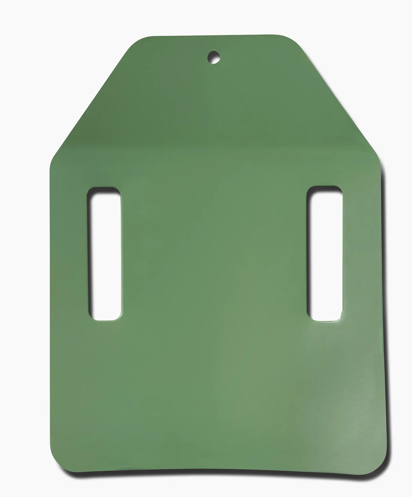 PT-R® Weight Plate Pair – Desert Sage