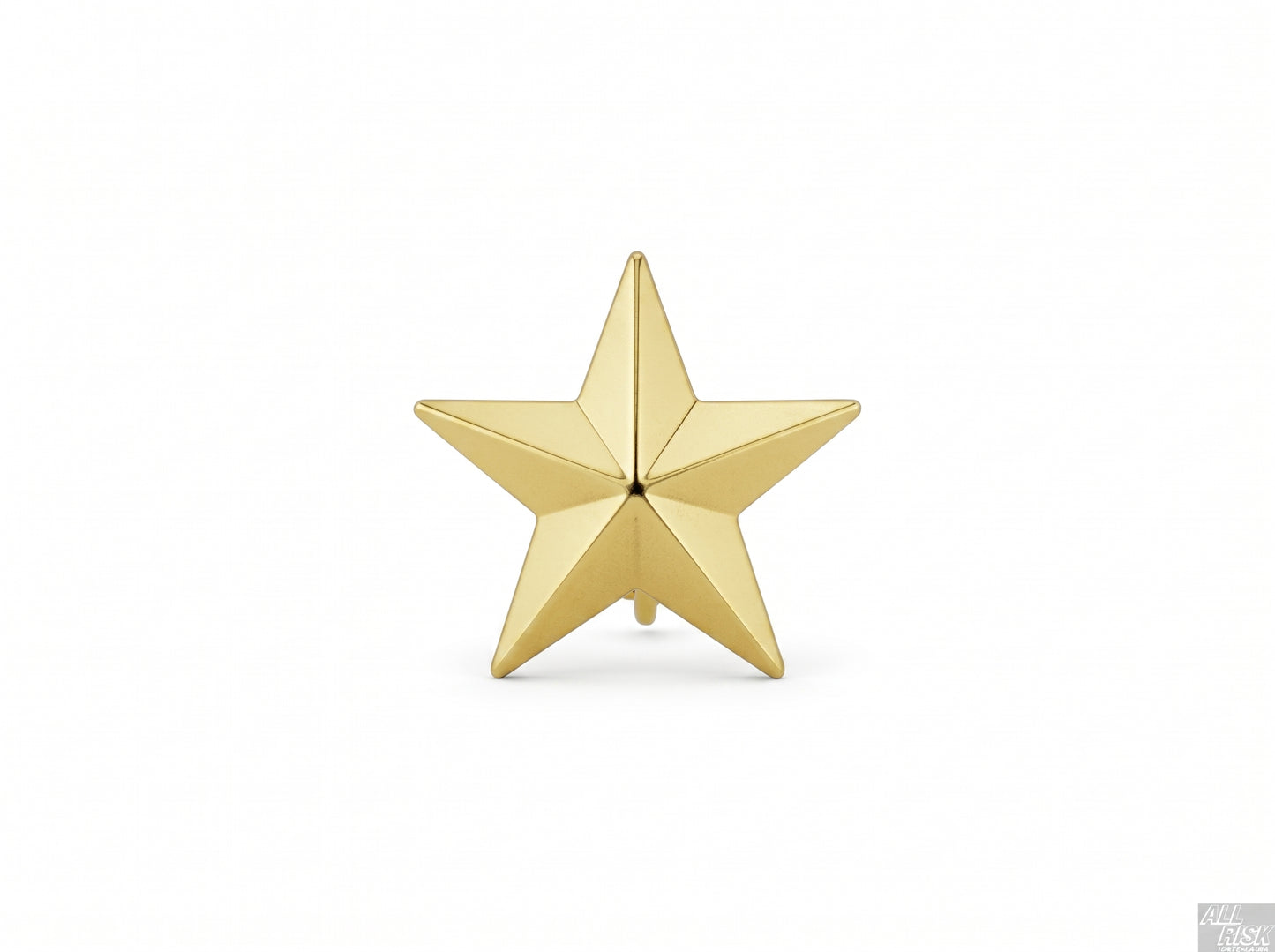 CAL FIRE Blackinton Single Gold Star Collar Brass