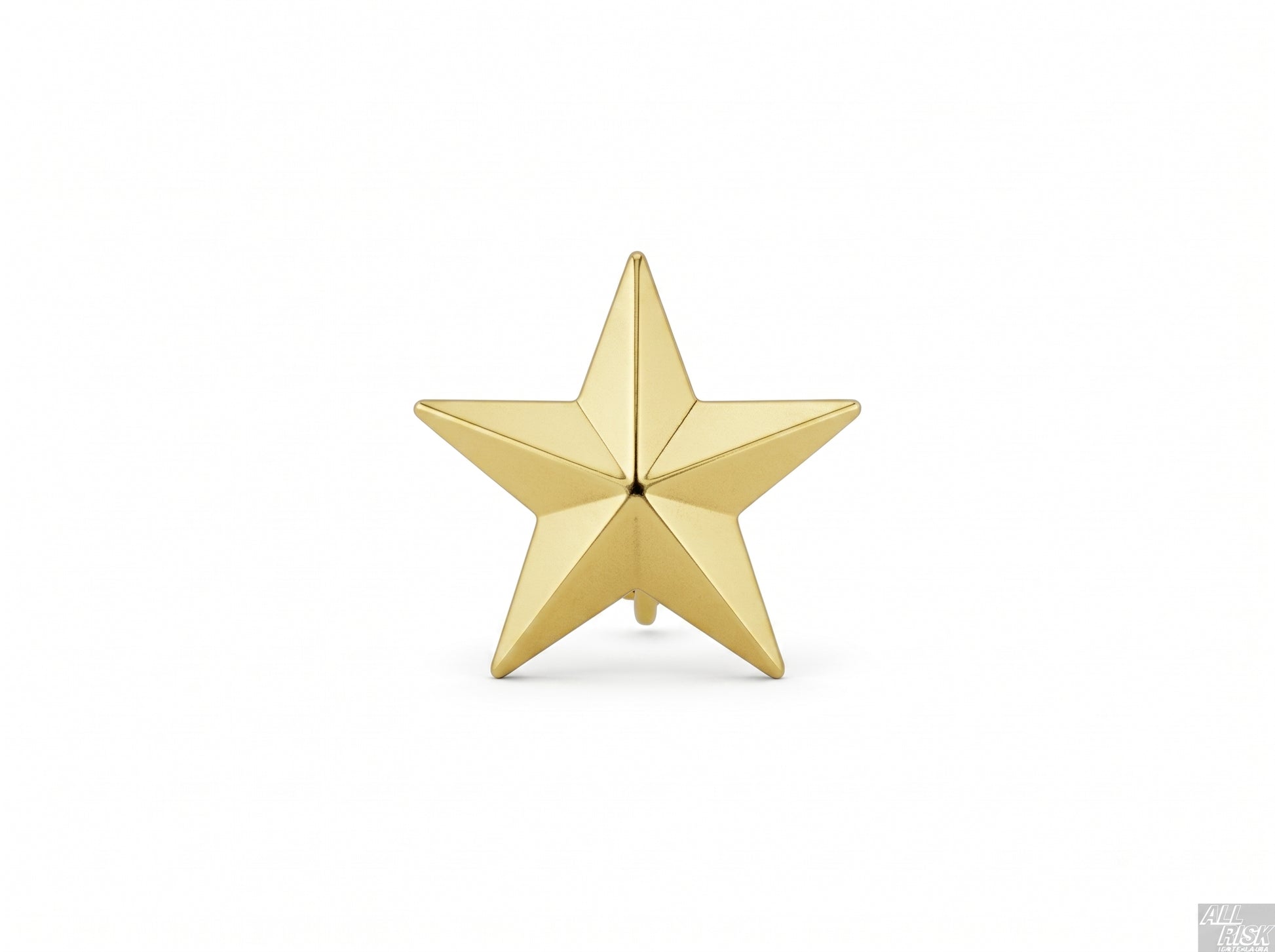 CAL FIRE Blackinton Single Gold Star Collar Brass