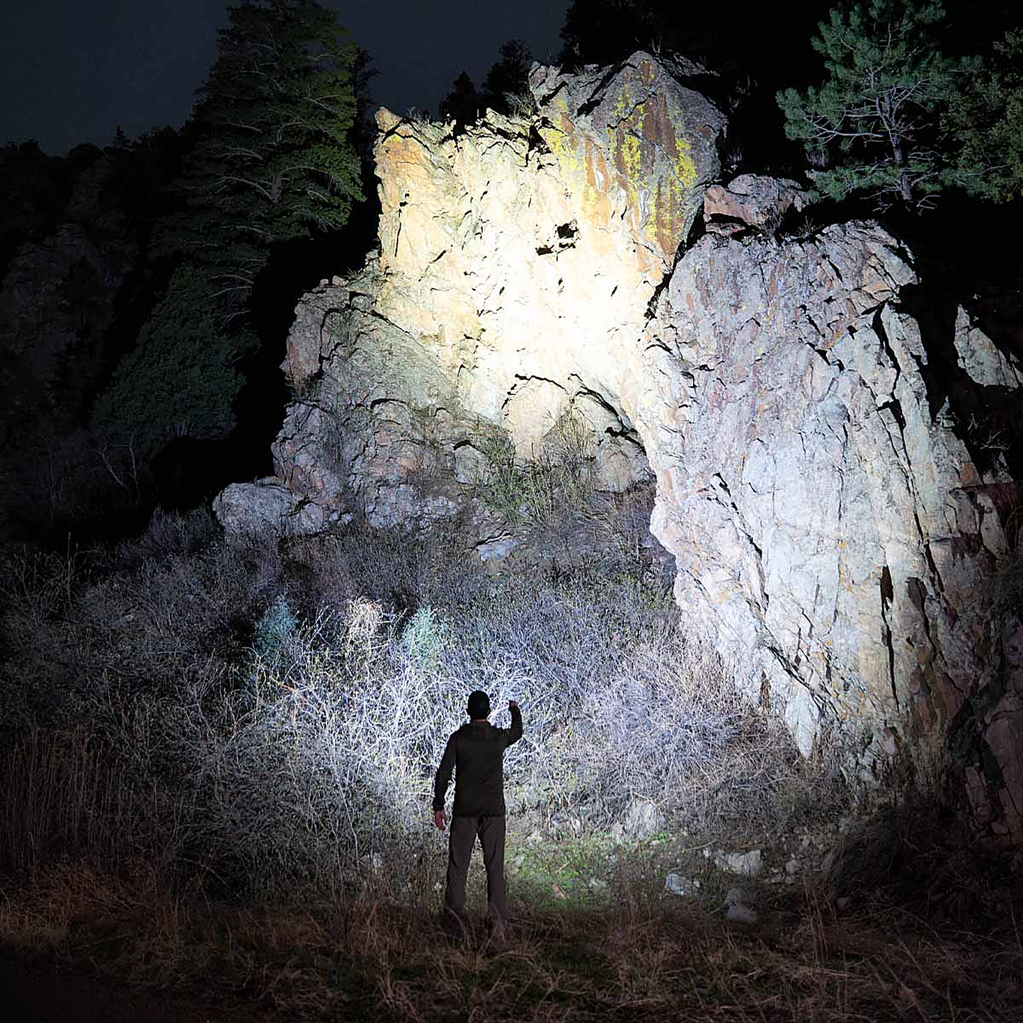 Fenix LD31 RENEGADE Flashlight