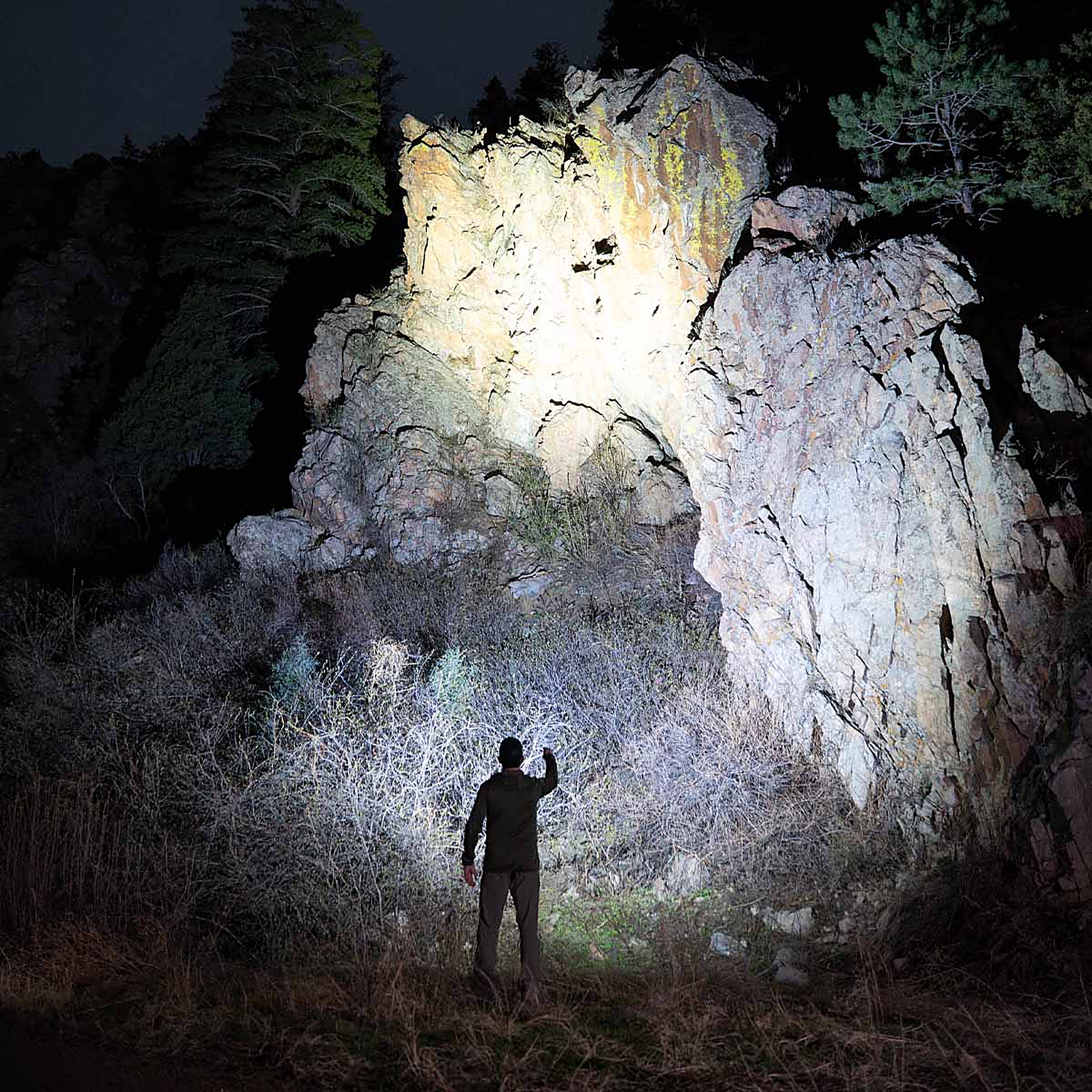 Fenix LD31 RENEGADE Flashlight