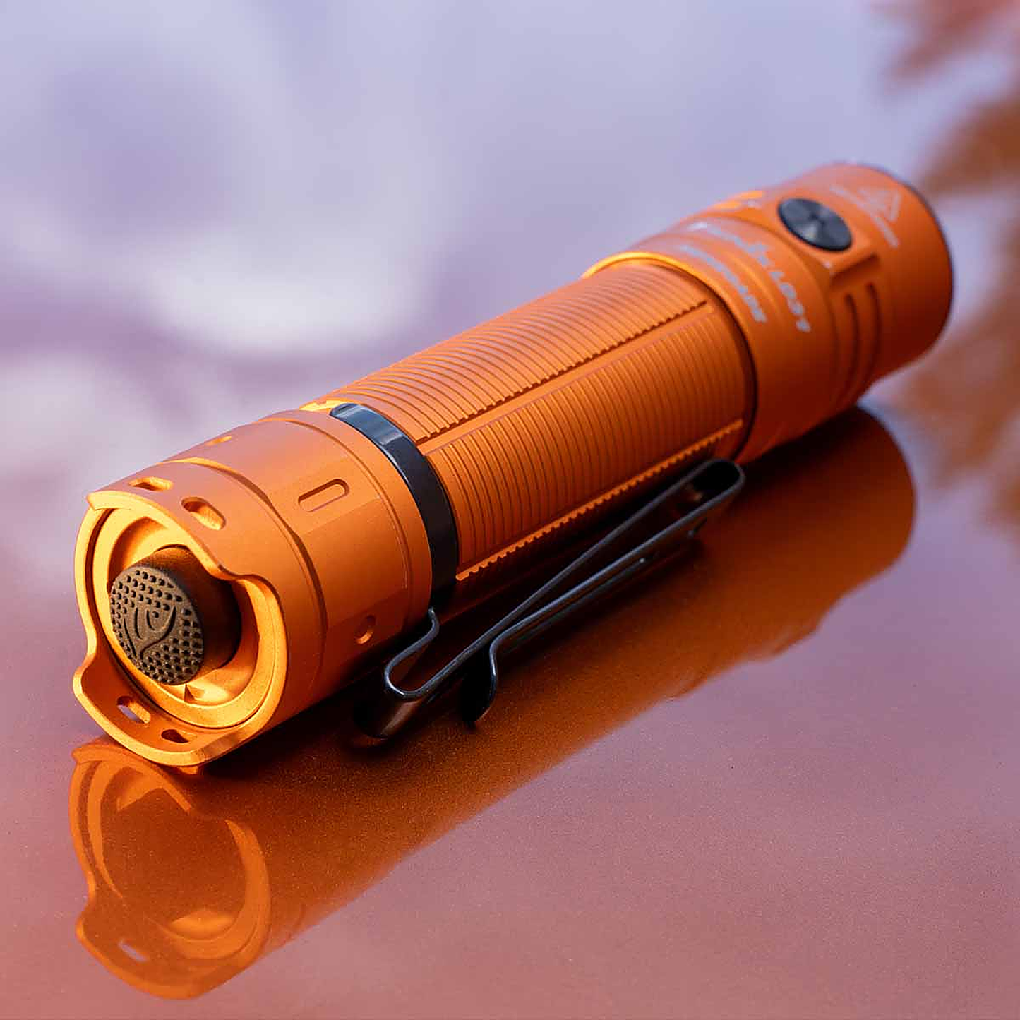 Fenix LD31 RENEGADE Flashlight