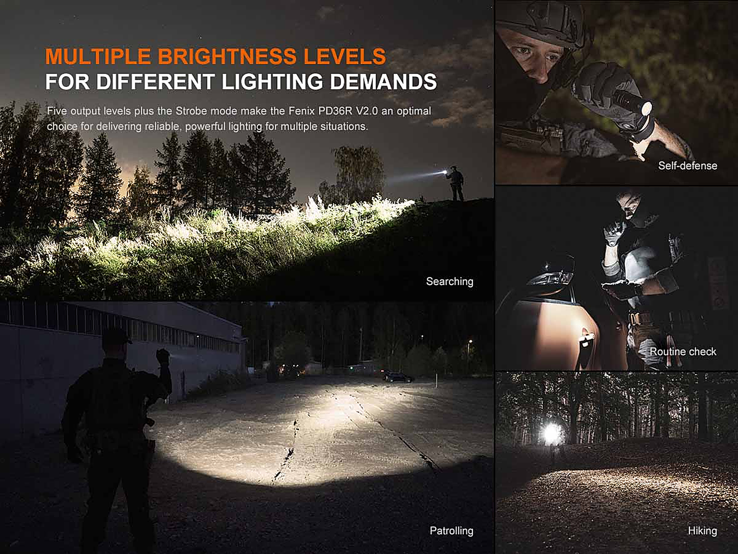 Fenix PD36R V2.0 Flashlight with Special Edition Engraved Design