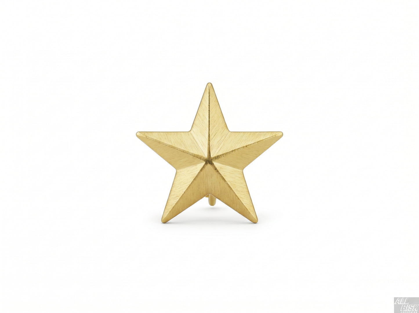 CAL FIRE Blackinton Single Gold Star Collar Brass