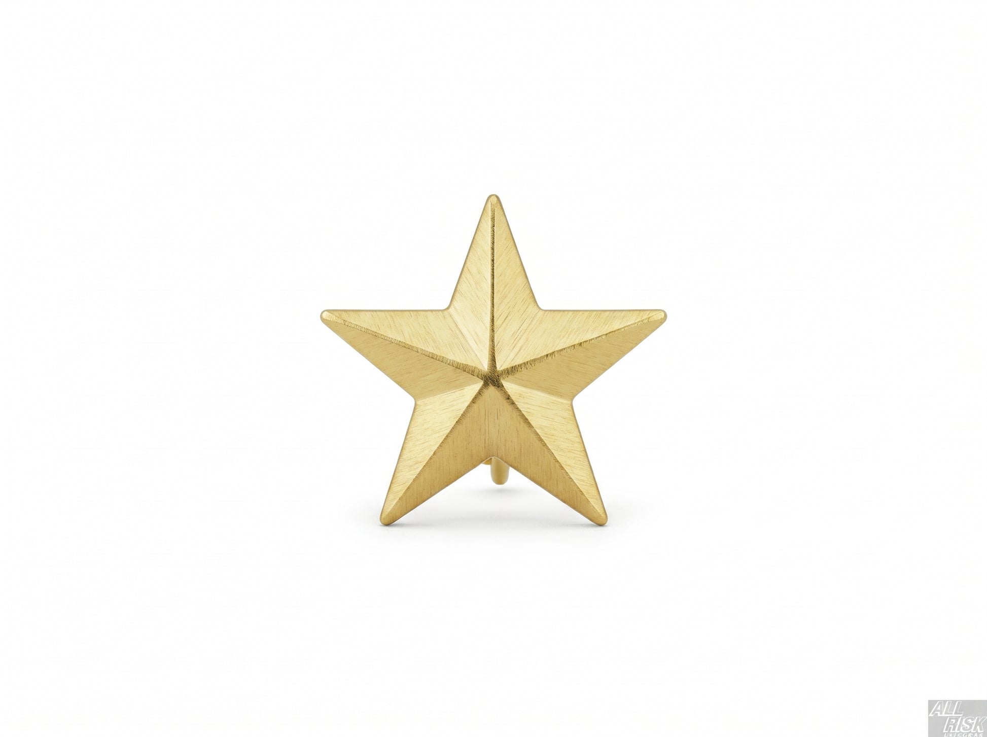 CAL FIRE Blackinton Single Gold Star Collar Brass