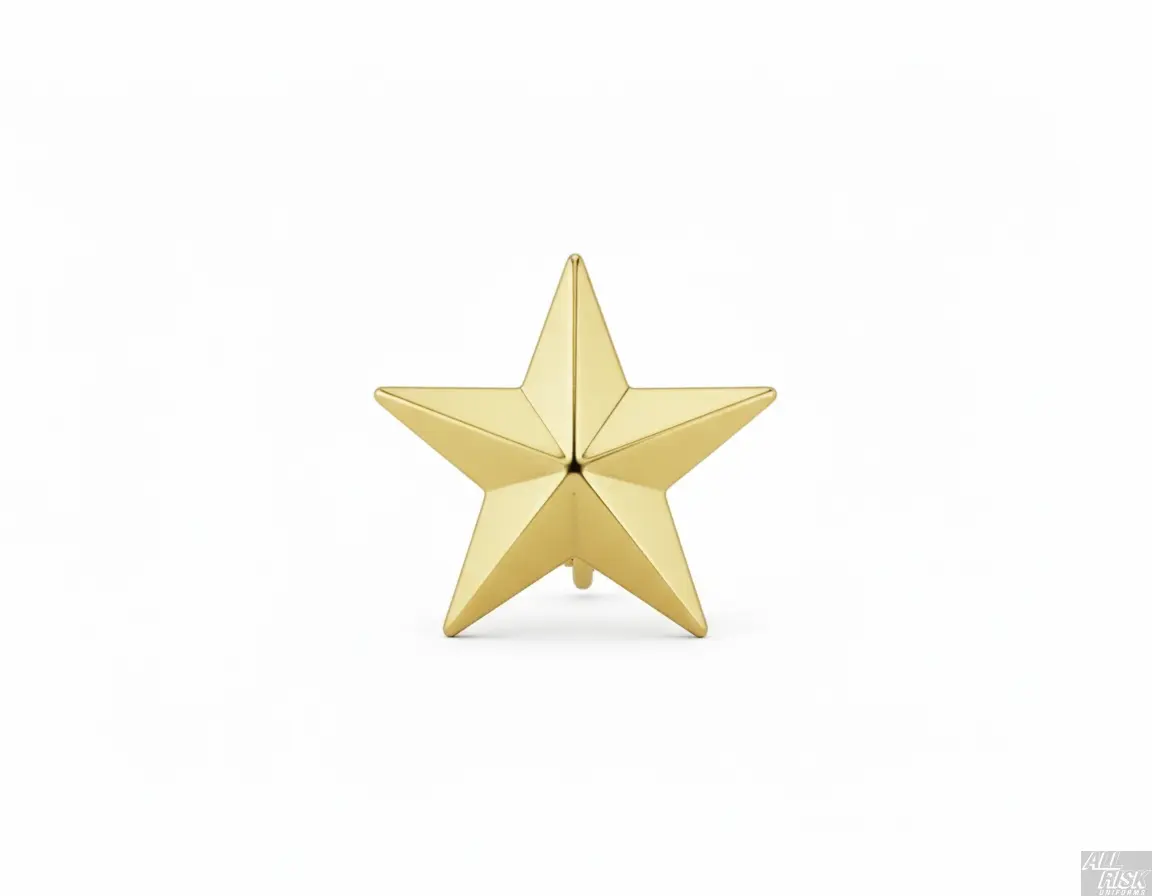 CAL FIRE Blackinton Single Gold Star Collar Brass