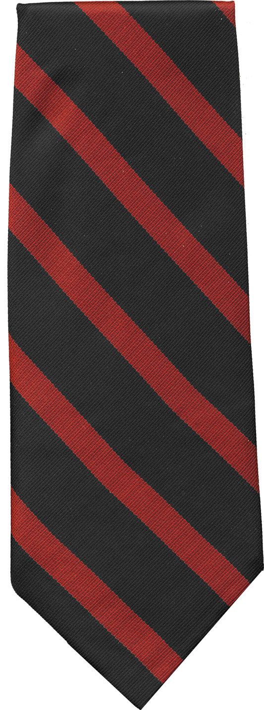 Professional Clip-on Tie
