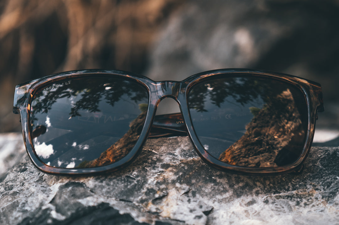 Heat Wave Visual Apollo TORTOISE sunglasses view 3