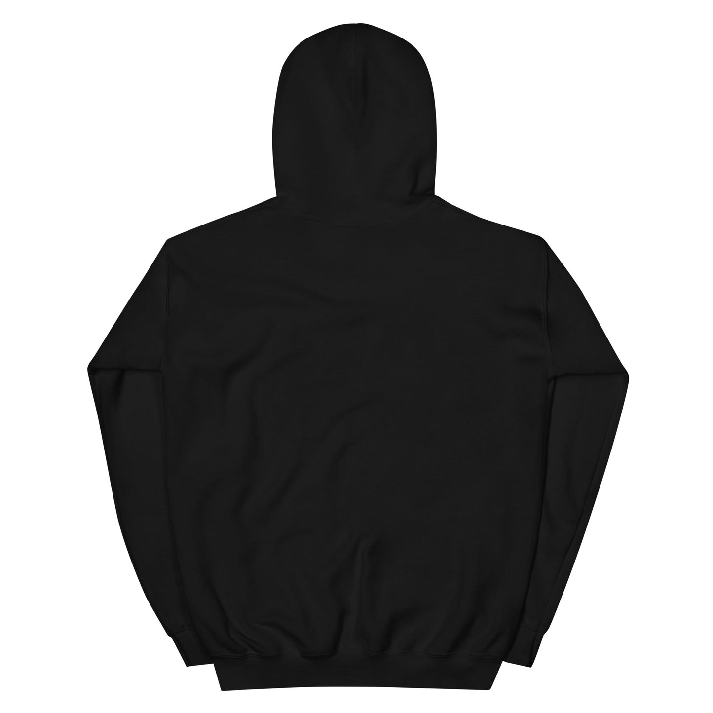 Stache Salt Send Me Hoodie in Black — back view