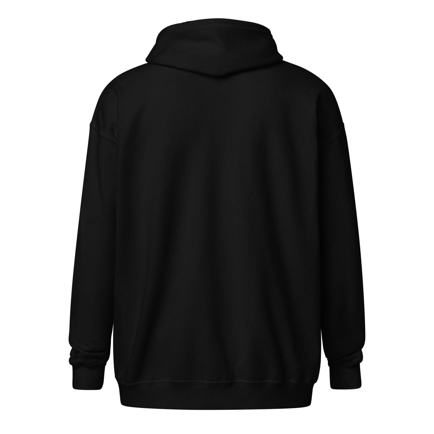 Stache Salt 2025 OG Zip Up Hoodie in Black — back view
