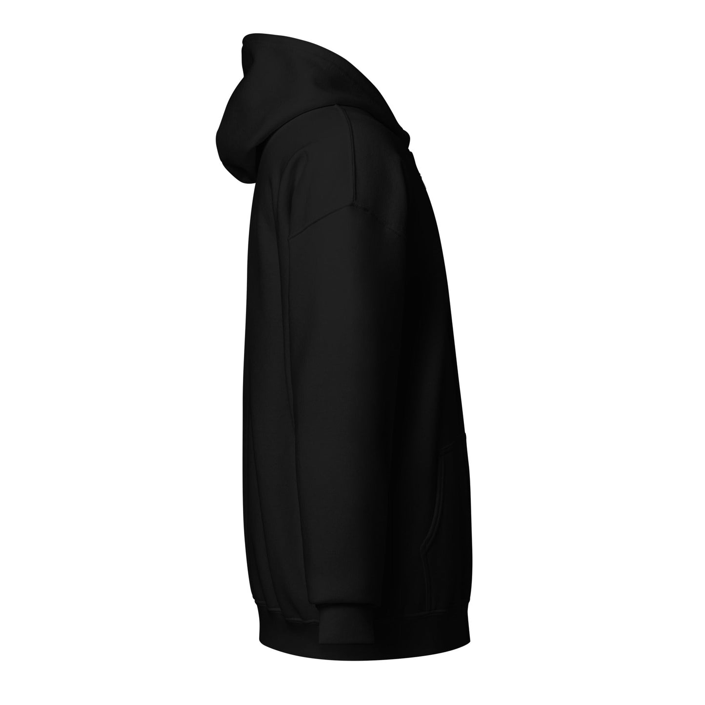 Stache Salt 2025 OG Zip Up Hoodie in Black — side view (2)
